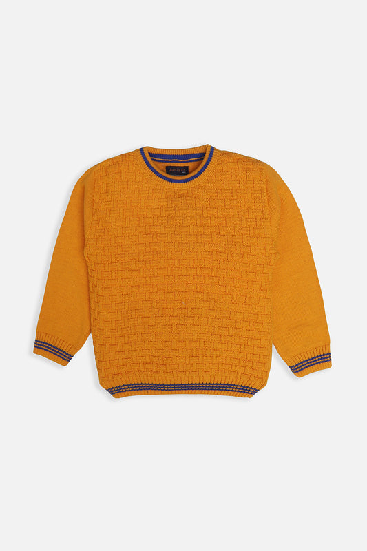 BOY'S SWEATER F/SLV.